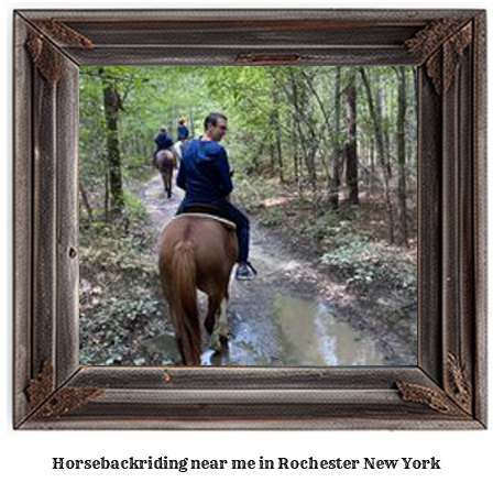 horseback riding near me in Rochester, New York